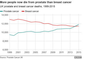 Prostate